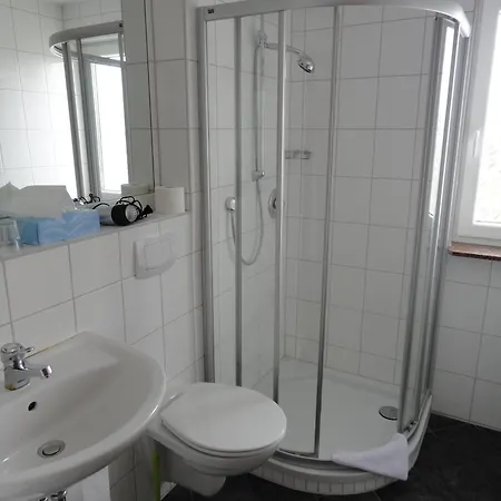 בית הארחה Landgasthof Traube 2*