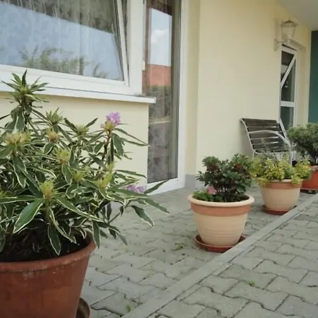 Landgasthof Traube בית הארחה היידנהיים אן דר ברנץ
