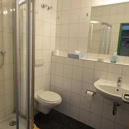 Landgasthof Traube 2*