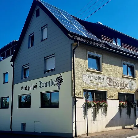 Landgasthof Traube 2*